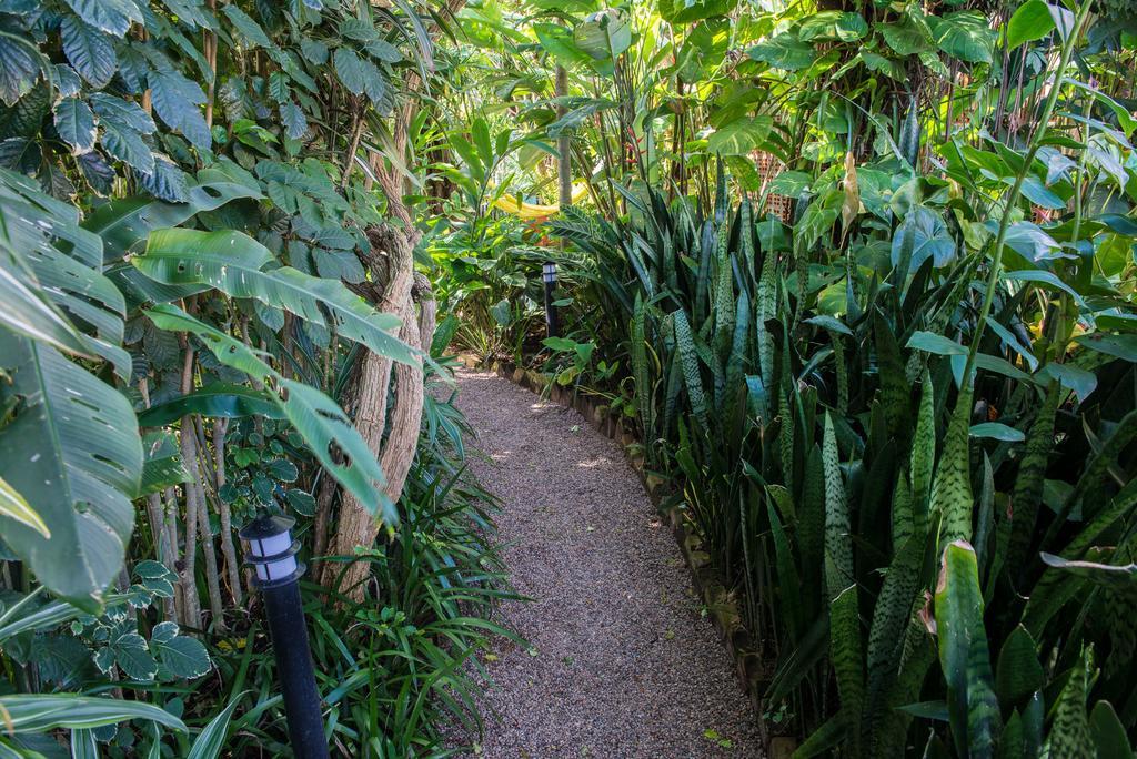 Pousada Verde Natur Florianopolis Ngoại thất bức ảnh